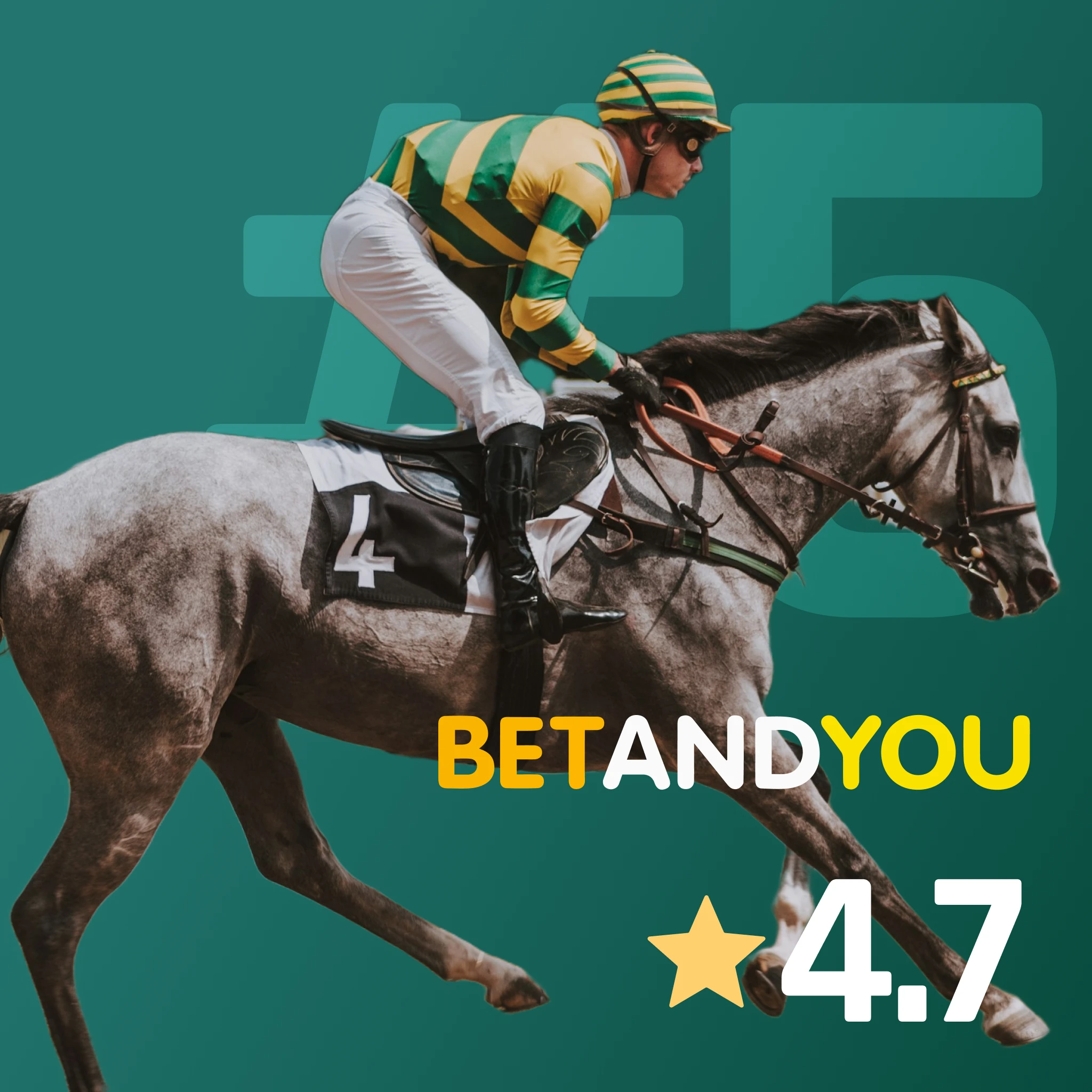 Best for protected horse racing bets in India - Betandyou combines cashback, free bets, and one-click wagering
