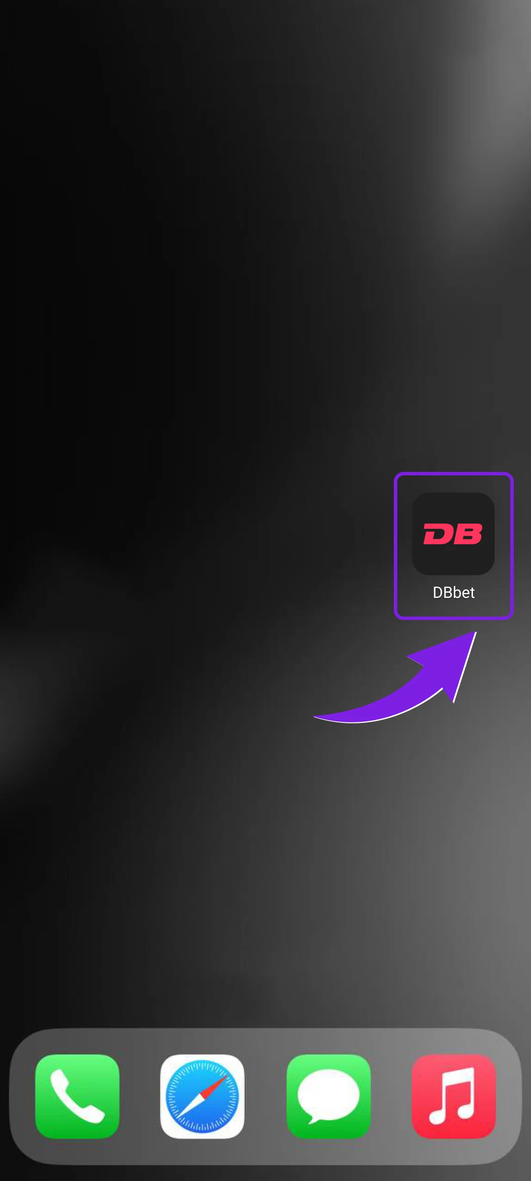 Launch the Dbbet App on iOS and start betting in India.