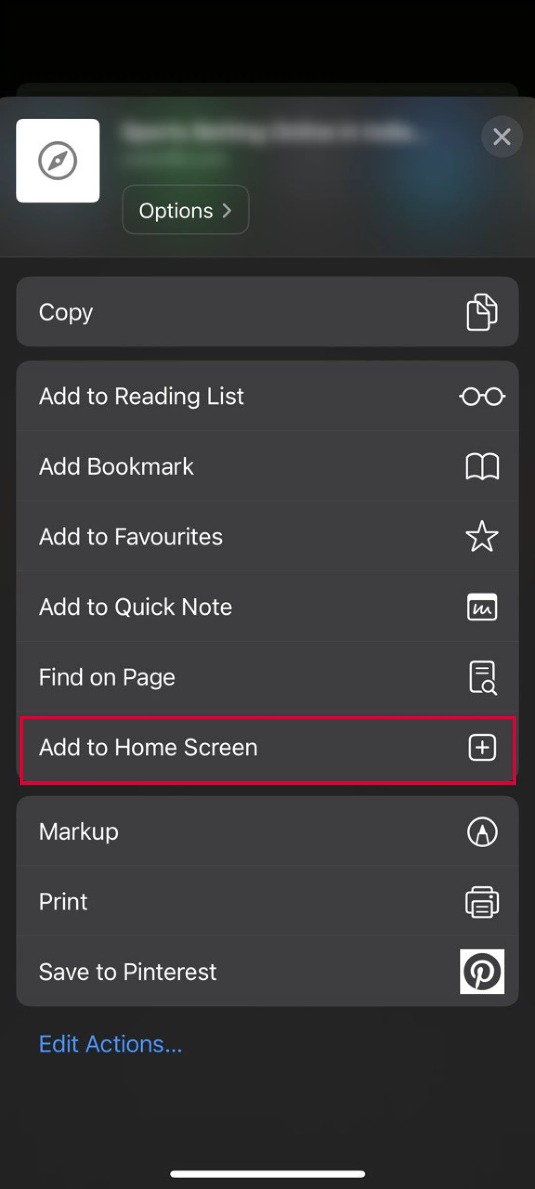 Select the home screen shortcut option for the mobile Pin-Up App iOS.