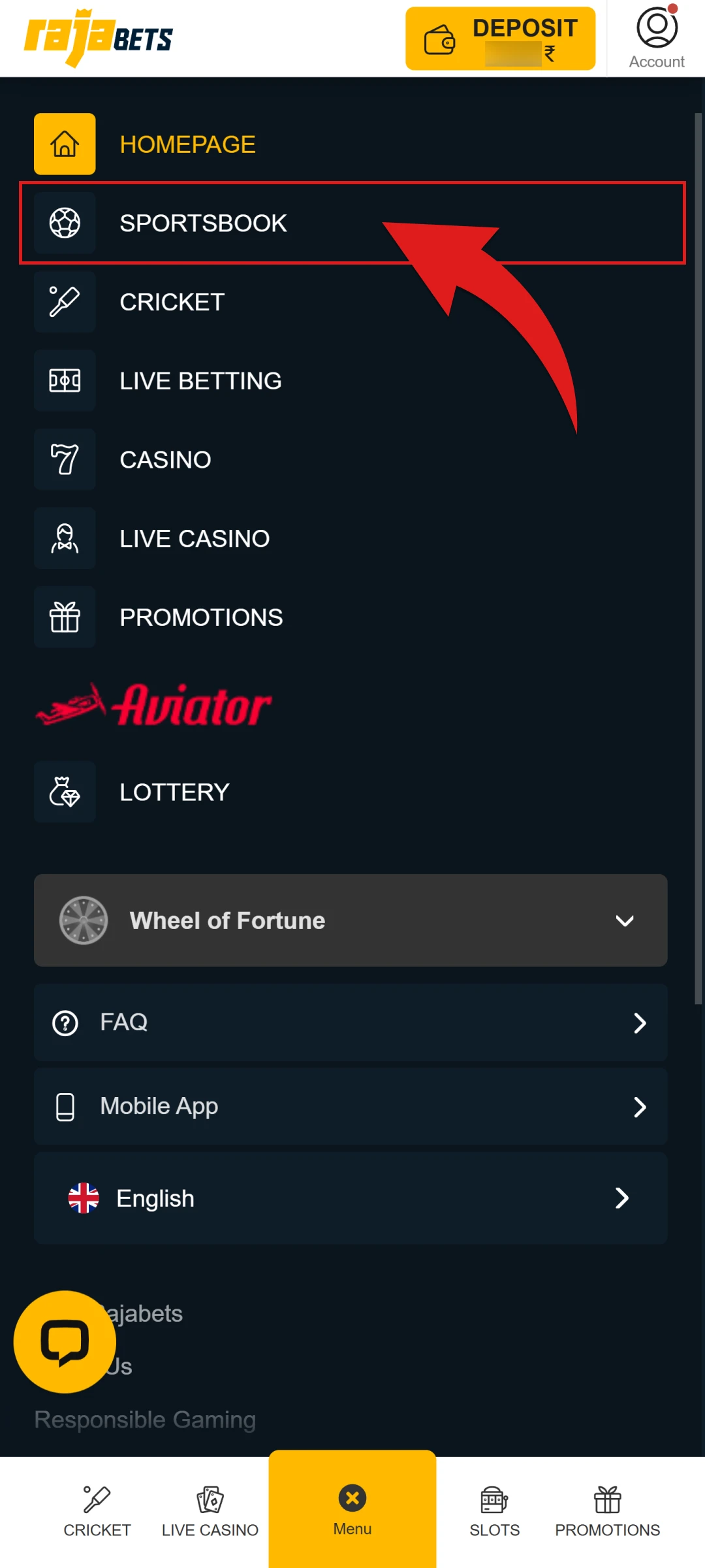 Navigate to the sports section and bet on the Rajabets App.