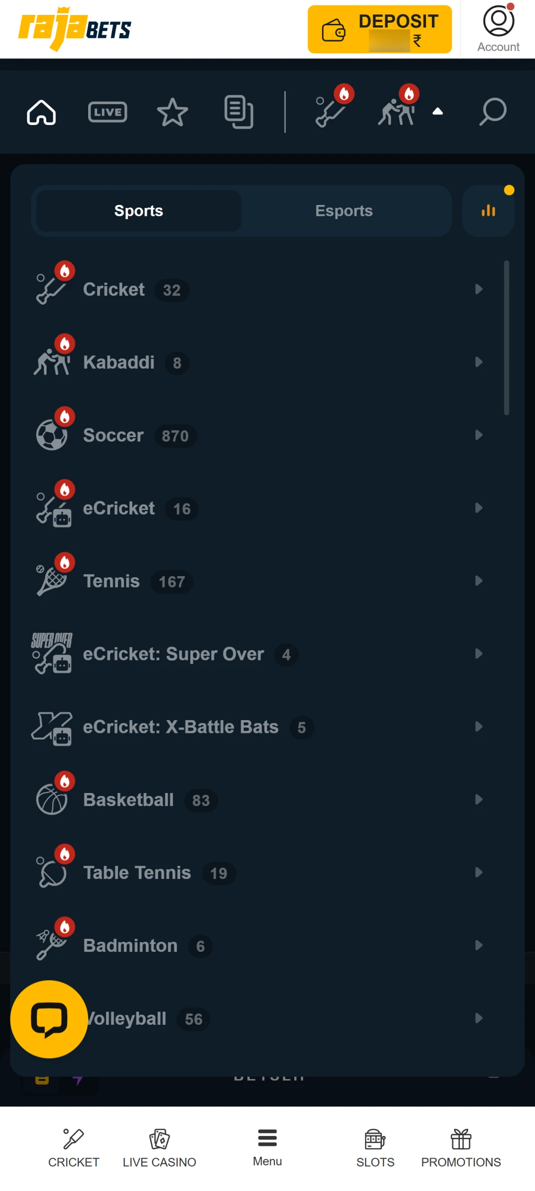 Choose your favorite sport to bet on the official Rajabets App.