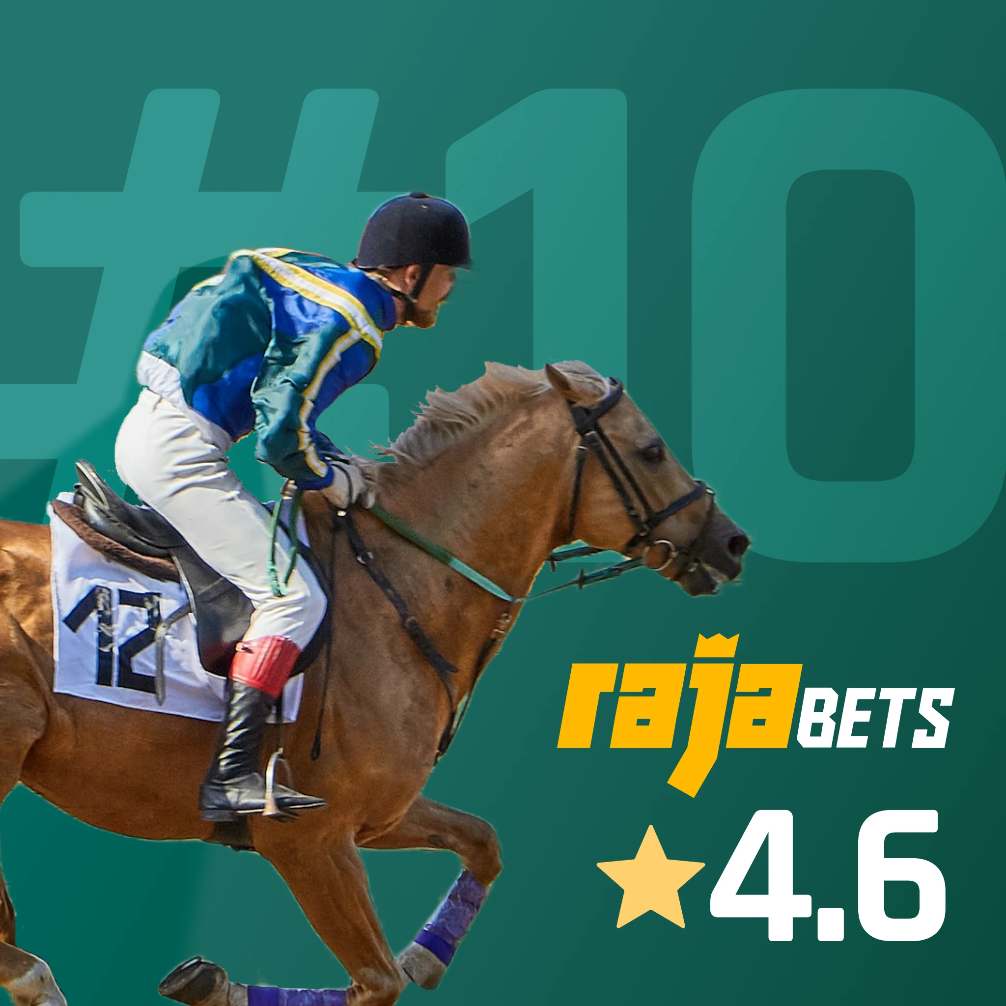 Rajabets 200% up to ₹100,000 - India's highest sports welcome for horse racing, ₹150 min deposit, established 2016