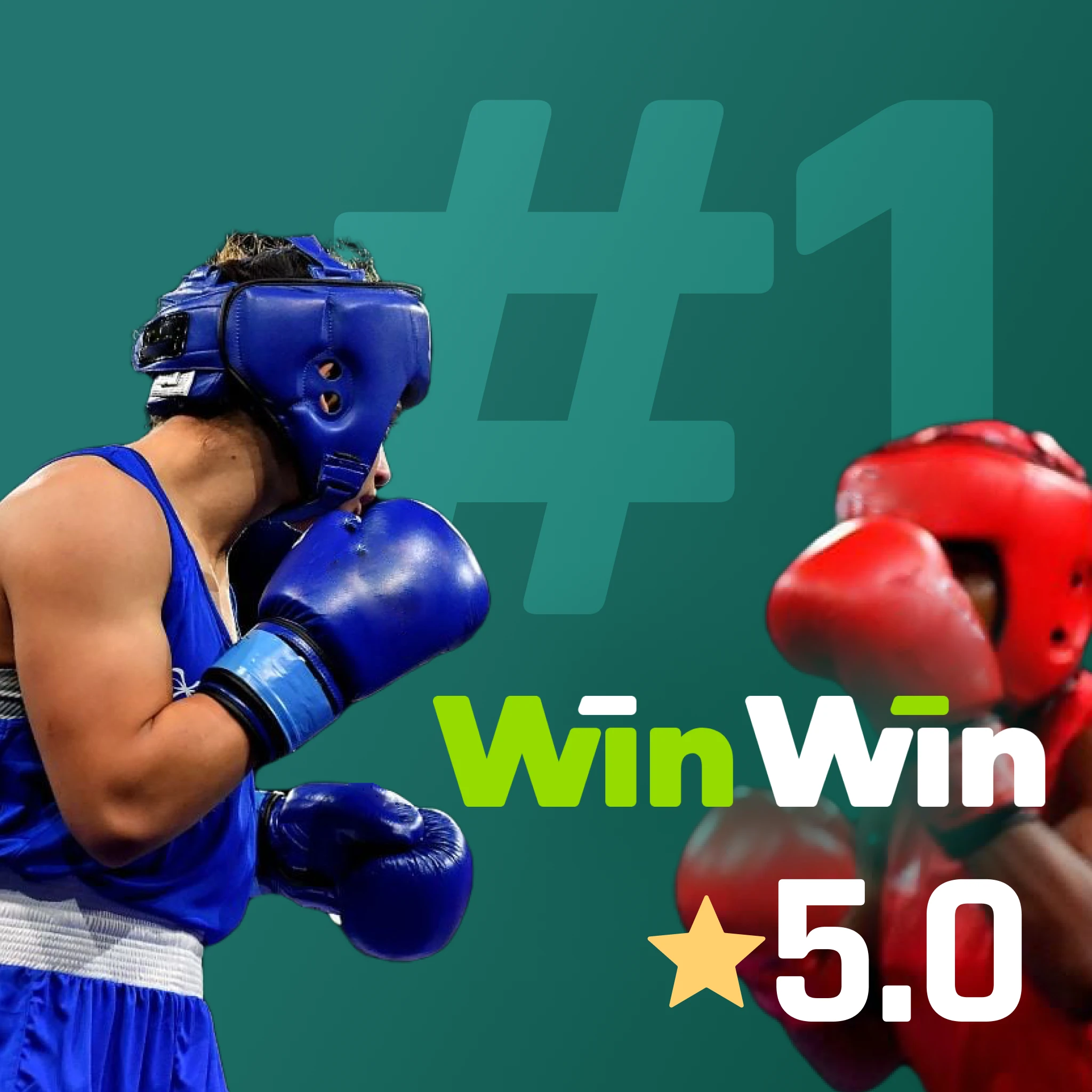 WinWin India boxing betting - Curacao licensed 2023, INR deposits, UPI and PhonePe