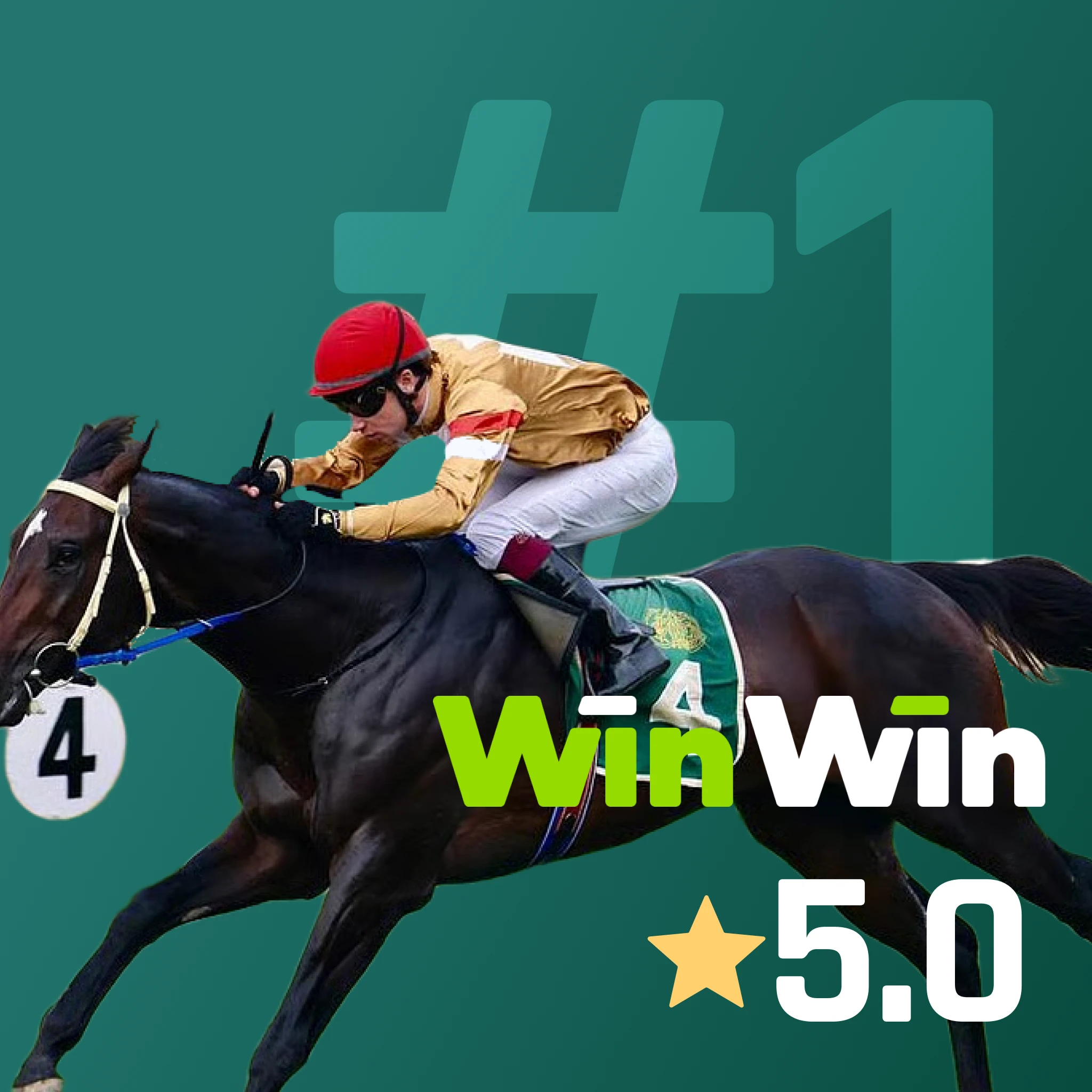 WinWin horse racing app - mobile-optimized live odds, deposit boosts, race start alerts, local and international derby markets