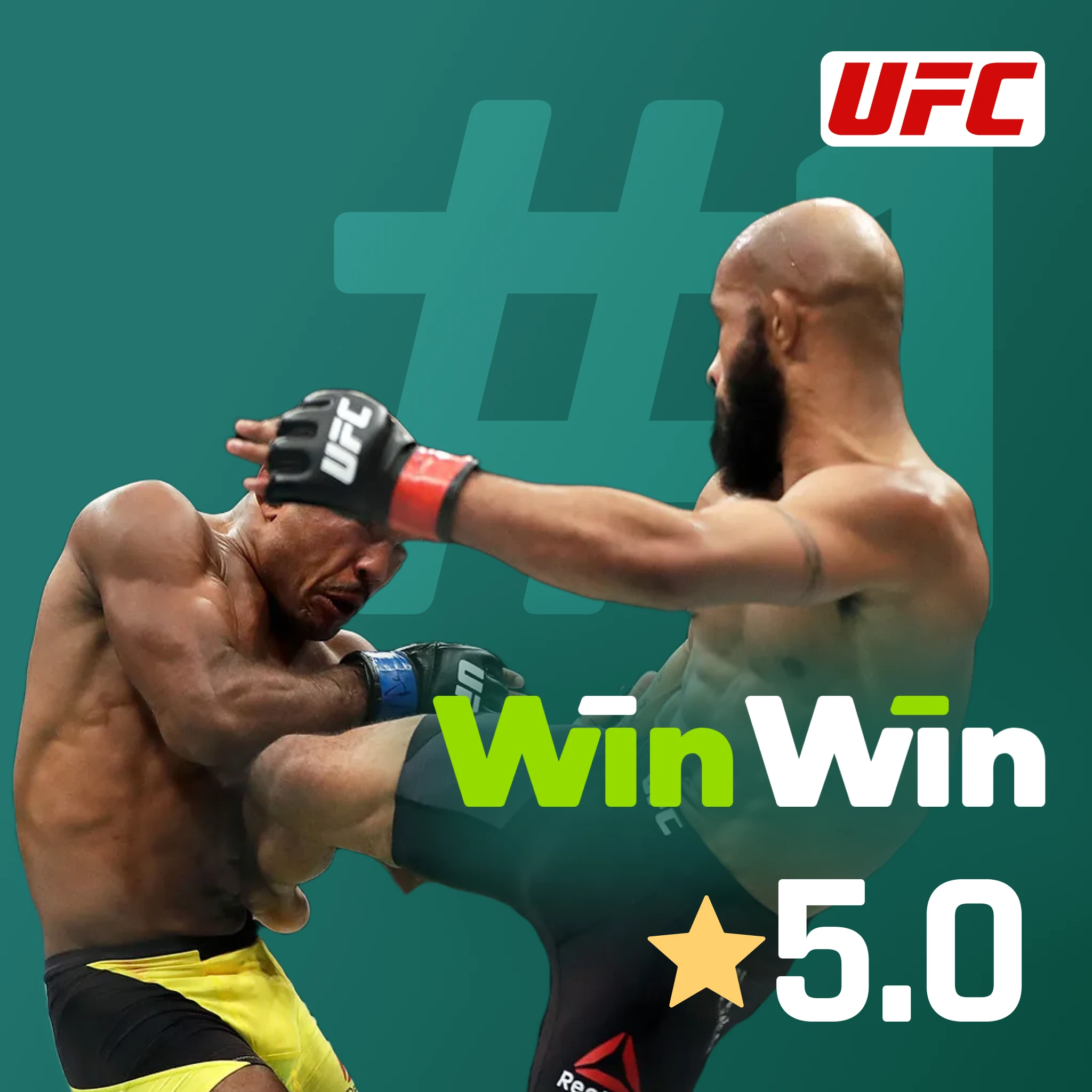 UFC betting with WinWin - round winner markets, method of victory props, fight length wagers, biometric security, INR payments