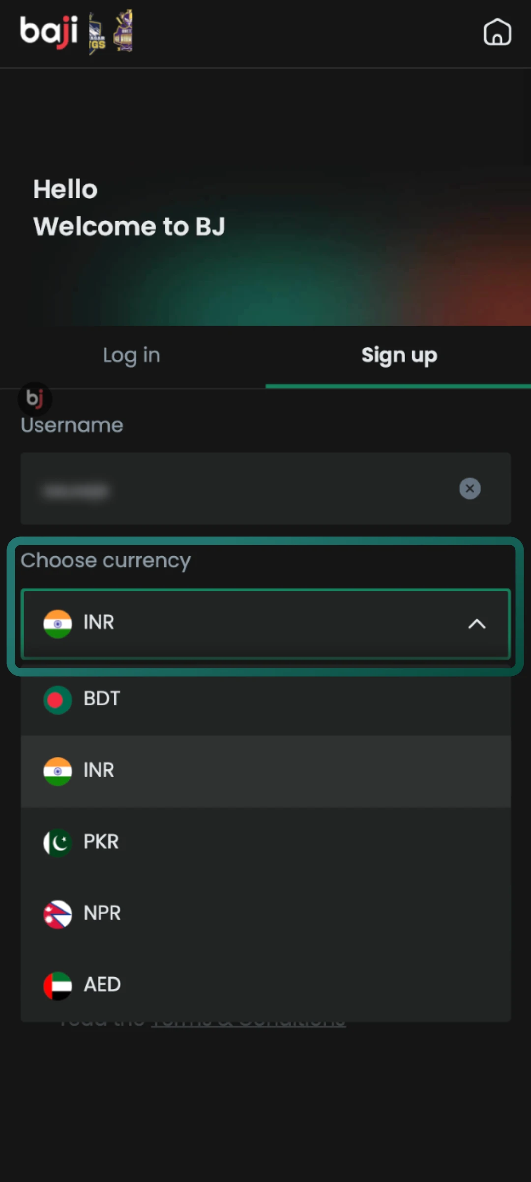 Input your email address and the verification code shown on the Baji Live screen.