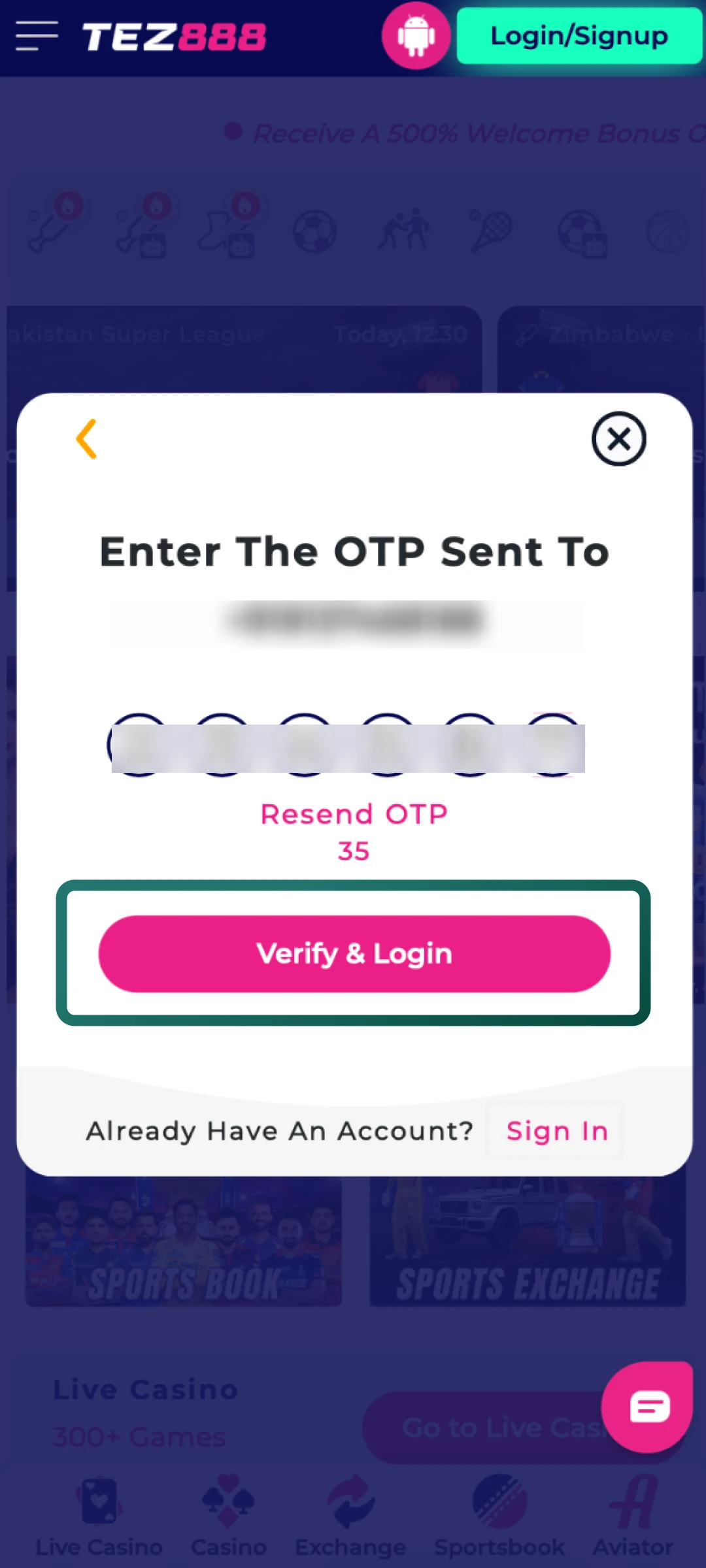Your Tez888 account becomes active with access to deposits, bonuses, and betting sections.